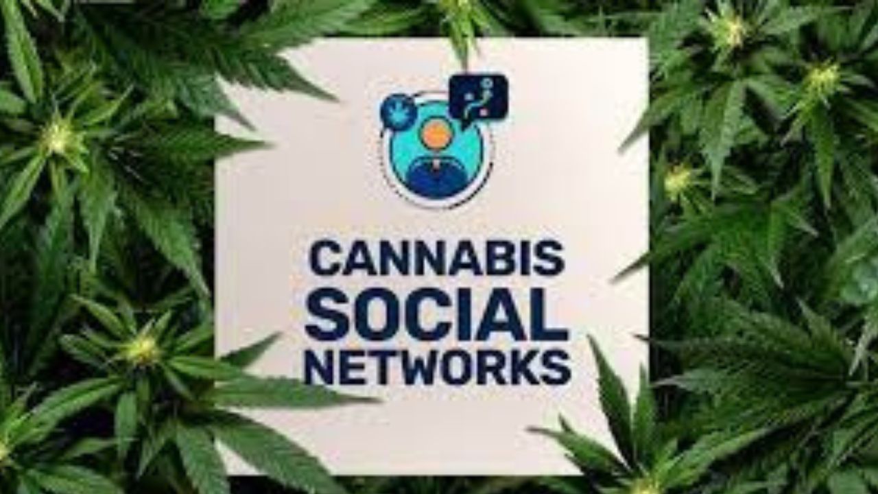 cannabis brand cannabis brand