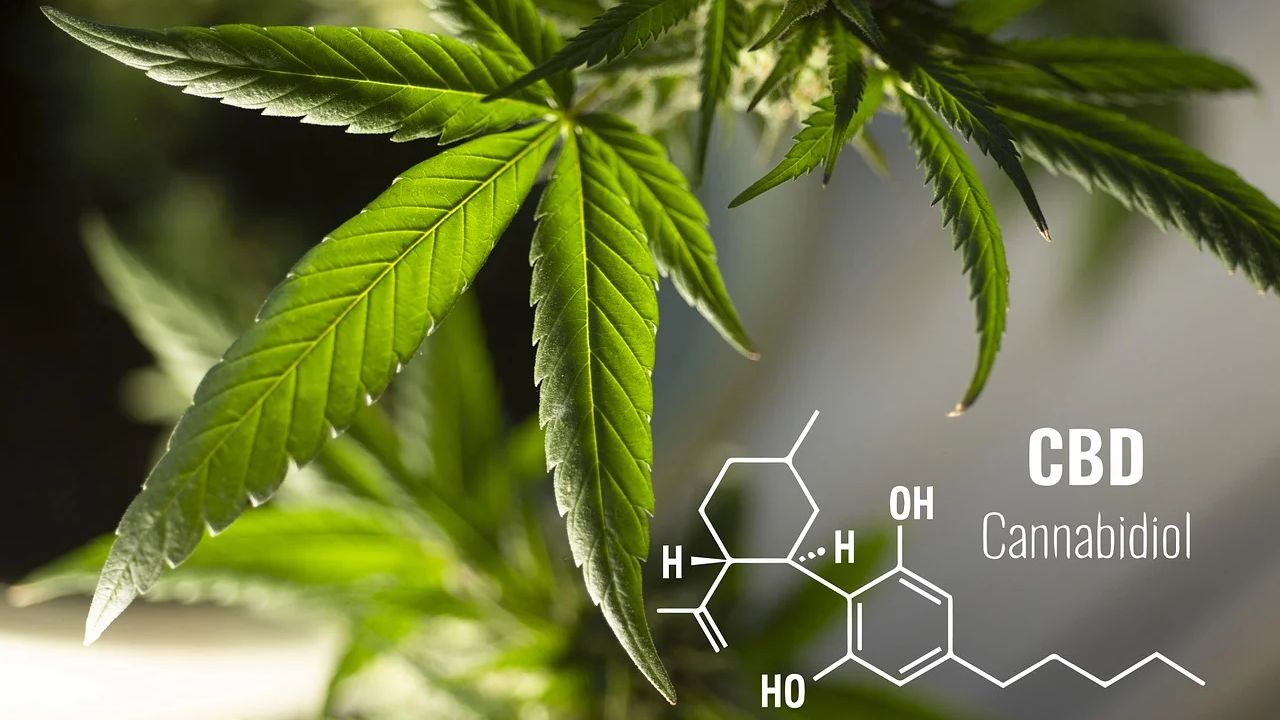 Simple Ways To Boost Your Biggest CBD Marketing Guide Biggest CBD Marketing Guide