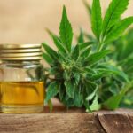 5 Effective Cannabis SEO Techniques: Boost Your Online Presence Today Cannabis SEO Techniques