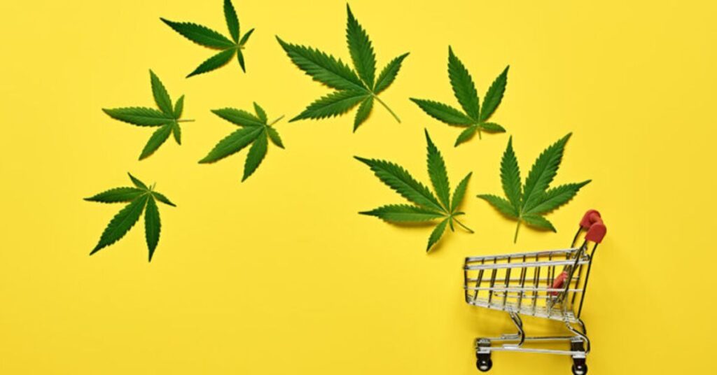 SEO for Marijuana Businesses